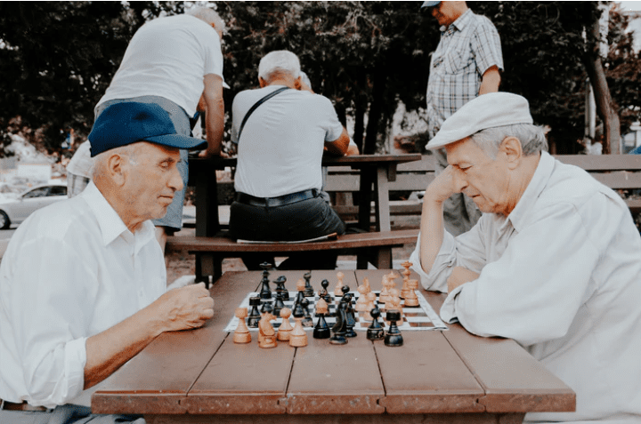Buying websites for passive income "two men playing chess"