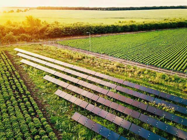 Solar Farming and Food Production